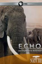 Watch Echo: An Elephant to Remember Fmovies