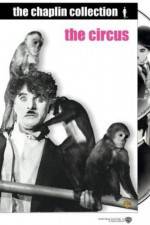 Watch The Circus Fmovies