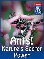 Watch Ants: Nature\'s Secret Power Fmovies
