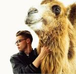Watch Mikolas Josef: Lie to Me Fmovies