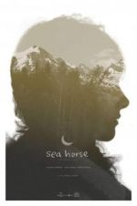 Watch Sea Horse Fmovies