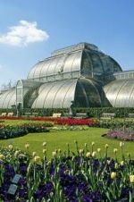 Watch Cruickshank on Kew: The Garden That Changed the World Fmovies
