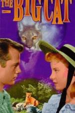 Watch The Big Cat Fmovies