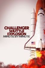 Watch Challenger Shuttle Disaster: Minute by Minute Fmovies
