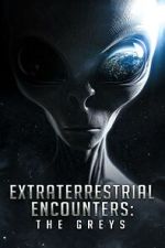 Watch Extraterrestrial Encounters: The Greys Fmovies