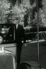 Watch Night Life in Reno Fmovies