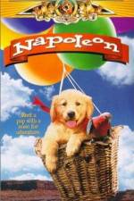 Watch Napoleon Fmovies