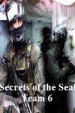 Watch Discovery Channel Secrets of Seal Team 6 Fmovies