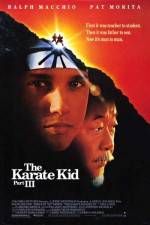 Watch The Karate Kid, Part III Fmovies