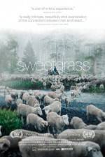 Watch Sweetgrass Fmovies