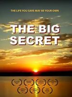Watch The Big Secret Fmovies