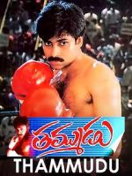 Watch Thammudu Fmovies