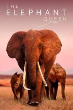 Watch The Elephant Queen Fmovies