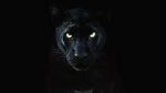 Watch The Real Black Panther (Short 2020) Fmovies