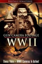 Watch Gun Camera Footage WWII Fmovies