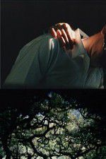 Watch The Hedge Theater Fmovies