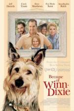 Watch Because of Winn-Dixie Fmovies