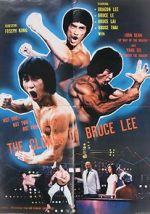 Watch The Clones of Bruce Lee Fmovies