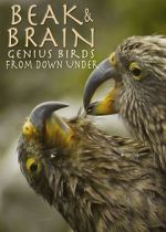 Watch Beak & Brain - Genius Birds from Down Under Fmovies