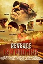 Watch Revenge Is a Promise Fmovies