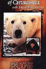 Watch The Polar Bears of Churchill with Ewan McGregor Fmovies