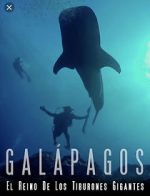 Watch Galapagos: Realm of Giant Sharks Fmovies