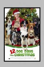 Watch 12 Dog Days of Christmas Fmovies