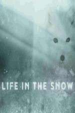 Watch Life in the Snow Fmovies