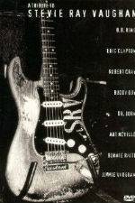 Watch A Tribute to Stevie Ray Vaughan Fmovies