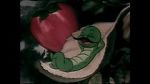 Watch The Wacky Worm (Short 1941) Fmovies