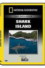 Watch National Geographic: Shark Island Fmovies