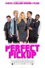 Watch The Perfect Pickup Fmovies