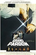 Watch The Big Pardon Fmovies