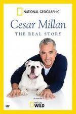 Watch Cesar Millan: The Real Story Fmovies