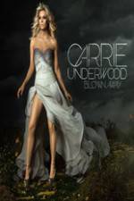 Watch Carrie Underwood: The Blown Away Tour Live Fmovies