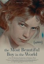 Watch The Most Beautiful Boy in the World Fmovies