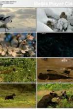 Watch National Geographic: Japans Hidden Secrets Fmovies