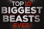 Watch Top 10 Biggest Beasts Ever Fmovies
