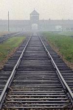 Watch AUSCHWITZ: FACTORIES OF DEATH Fmovies