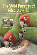 Watch The Wild Parrots of Telegraph Hill Fmovies