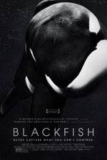 Watch Blackfish Fmovies