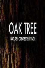 Watch Oak Tree Natures Greatest Survivor Fmovies