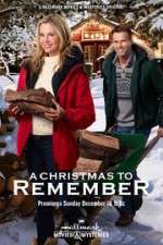 Watch A Christmas to Remember Fmovies