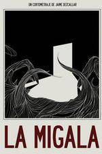 Watch The Bird Spider Fmovies