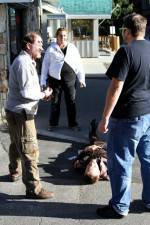 Watch Dead Stop Fmovies