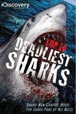 Watch National Geographic Worlds Deadliest Sharks Fmovies