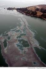 Watch National Geographic: Gulf Coast Disaster Fmovies