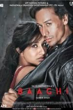 Watch Baaghi Fmovies