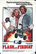 Watch Flash and the Firecat Fmovies