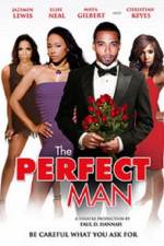 Watch The Perfect Man Fmovies
